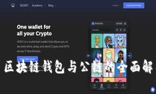 : 区块链钱包与公链的全面解析