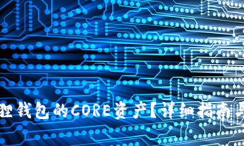 如何找回小狐狸钱包的CORE资产？详细指南与常见问题解答