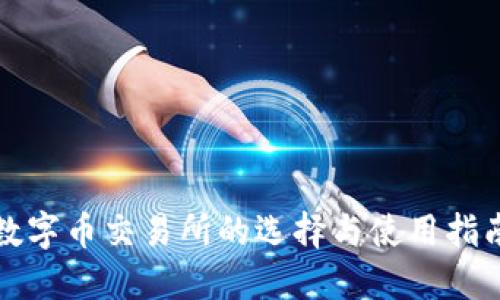 数字币交易所的选择与使用指南
