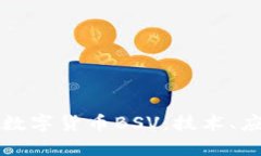 深入探讨数字货币BSV：技术、应用与未来