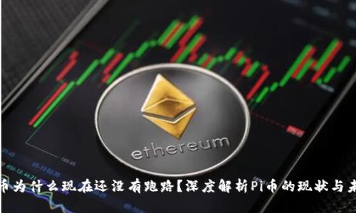 Pi币为什么现在还没有跑路？深度解析Pi币的现状与未来