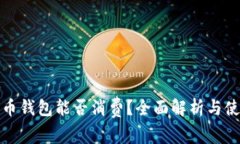 数字货币钱包能否消费？全面解析与使用指南