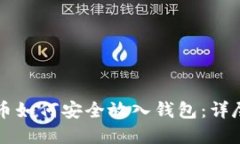 虚拟币如何安全放入钱包：详尽指南