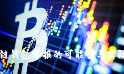 区块链钱包举报的可能性与实际操作