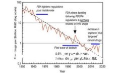 小狐狸比特币：探索其背后的价值与投资潜力