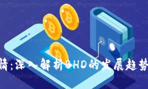 BHD最新行情：深入解析BHD的发展趋势与投资机会