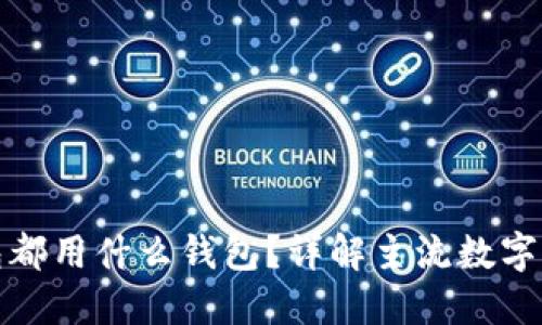 数字货币钱包都用什么钱包？详解主流数字货币钱包类型