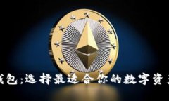 最大的区块链钱包：选择最适合你的数字资产存