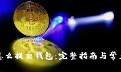 数字货币怎么提交钱包：完整指南与常见问题解