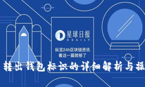 虚拟币转出钱包标识的详细解析与操作指南