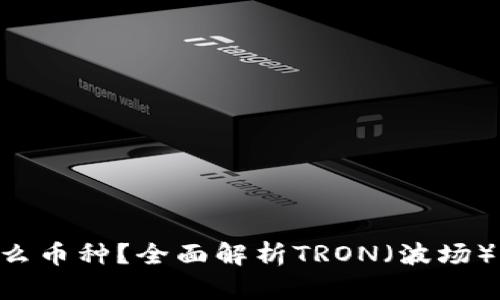 TRX是什么币种？全面解析TRON（波场）及其应用
