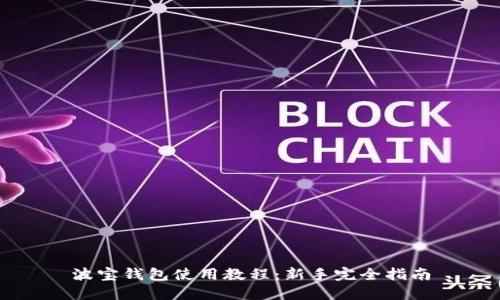 波宝钱包使用教程：新手完全指南