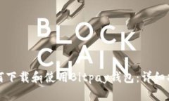 如何下载和使用Bitpay钱包：详细指南