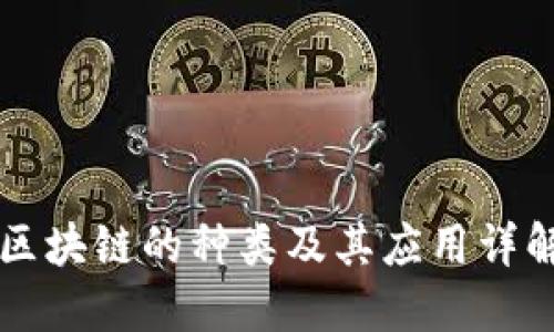 区块链的种类及其应用详解