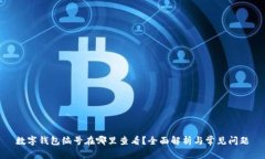 数字钱包编号在哪里查看？全面解析与常见问题
