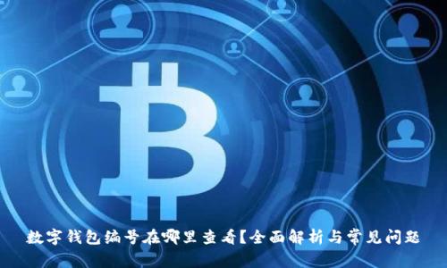 数字钱包编号在哪里查看？全面解析与常见问题