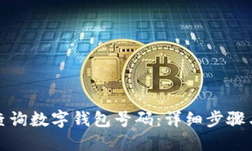 如何查询数字钱包号码：详细步骤与技巧
