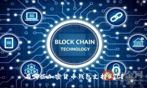 有哪些加密货币钱包支持BSC？