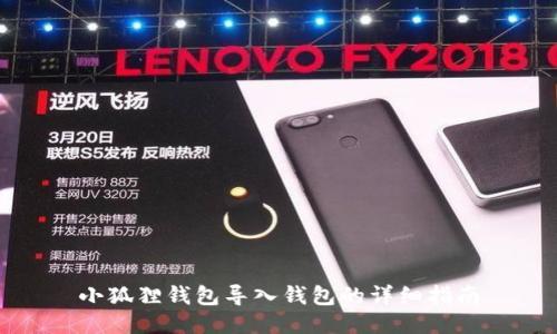 小狐狸钱包导入钱包的详细指南