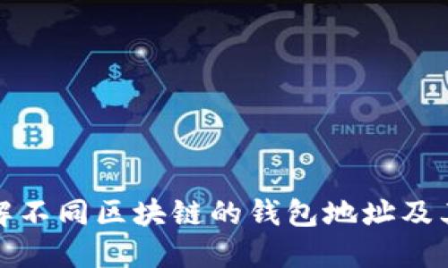 全面了解不同区块链的钱包地址及其重要性
