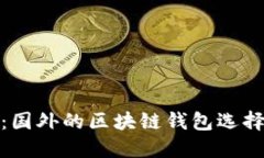 最全面指南：国外的区块链钱包选择与使用技巧