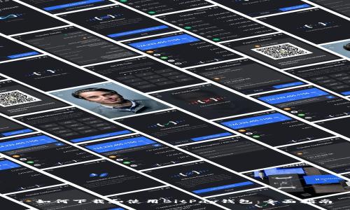: 如何下载和使用BitPay钱包：全面指南
