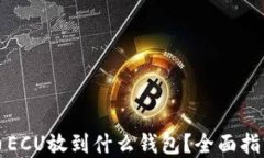 数字货币ECU放到什么钱包？全面指南与推荐