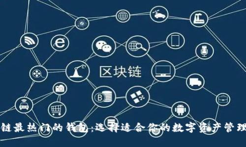 区块链最热门的钱包：选择适合你的数字资产管理工具
