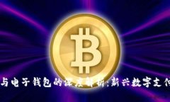 区块链与电子钱包的深度解析：新兴数字支付的