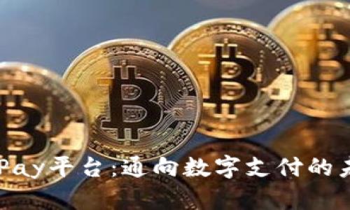 CGPay平台：通向数字支付的未来