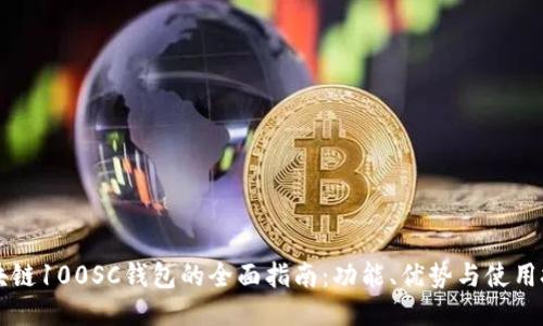 区块链100SC钱包的全面指南：功能、优势与使用技巧