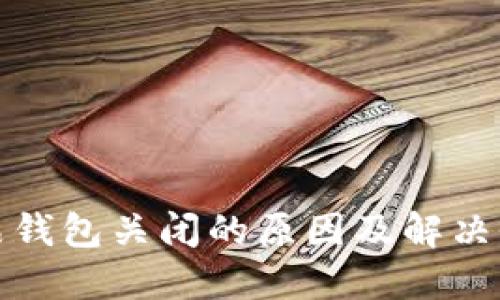 数字藏品钱包关闭的原因及解决办法详解