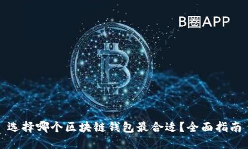 选择哪个区块链钱包最合适？全面指南