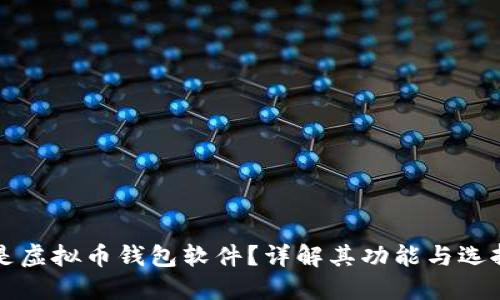 什么是虚拟币钱包软件？详解其功能与选择指南