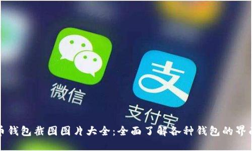 加密货币钱包截图图片大全：全面了解各种钱包的界面与功能