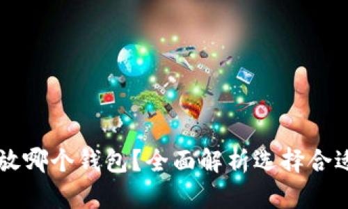 虚拟币应该放哪个钱包？全面解析选择合适钱包的指南