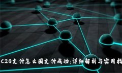 TRC20支付怎么圈支付成功：详细解析与实用指南