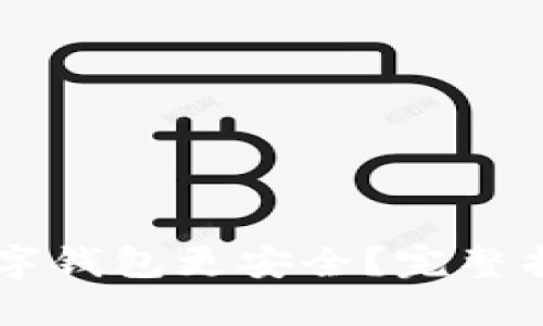 用什么数字钱包更安全？完整指南与推荐