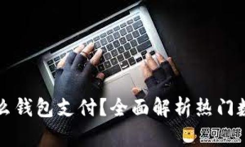 区块链国外用什么钱包支付？全面解析热门数字货币钱包选择
