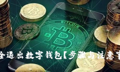 如何安全退出数字钱包？步骤与注意事项详解