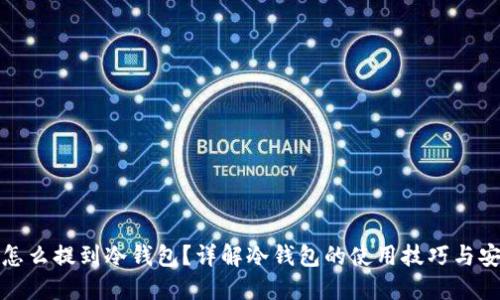 虚拟币怎么提到冷钱包？详解冷钱包的使用技巧与安全措施
