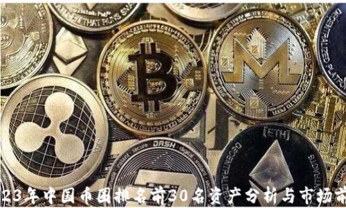 
2023年中国币圈排名前30名资产分析与市场前景