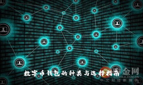 数字币钱包的种类与选择指南