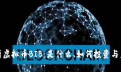 全面解析虚拟币BIB：是什么、如何投资与未来趋