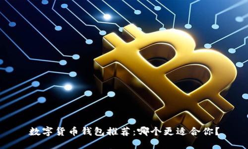 数字货币钱包推荐：哪个更适合你？