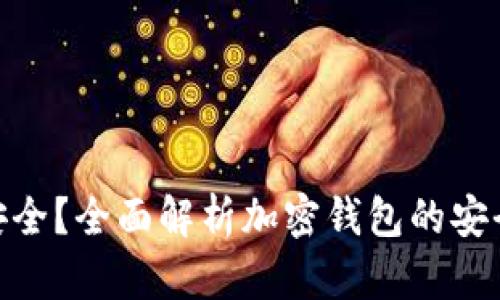 加密钱包是否安全？全面解析加密钱包的安全性及保护措施