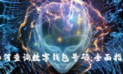 如何查询数字钱包号码：全面指南