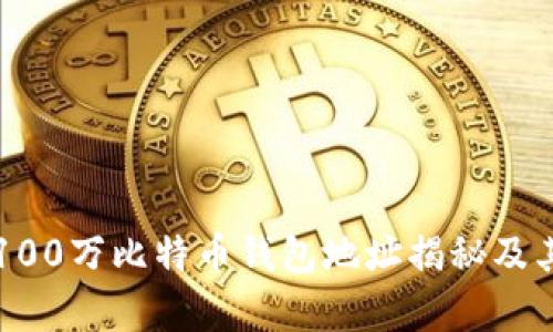 中本聪的100万比特币钱包地址揭秘及其影响解析