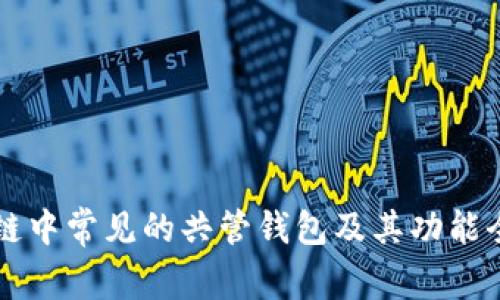 区块链中常见的共管钱包及其功能全解析