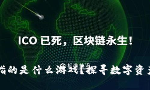区块链钱包指的是什么游戏？探寻数字资产的奇妙世界